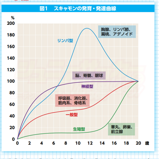 初心者コーチ必読！ なぜジュニア年代は「筋力系」よりも「神経系」を伸ばすべきなのか？ | ジュニアサッカーを応援しよう！